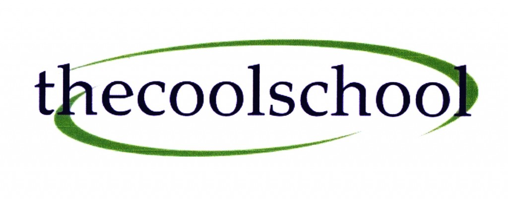DIY-thecoolschool Logo