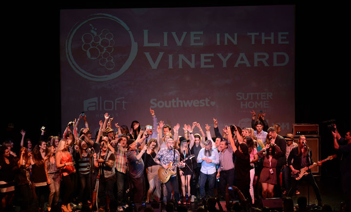 Live In The Vineyard Music Food And Wine Festival