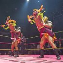 lucha vavoom industry profile