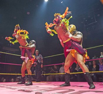 lucha vavoom industry profile