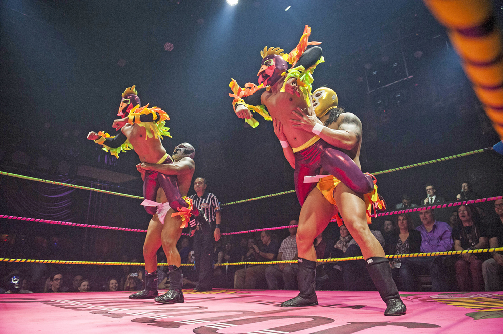 lucha vavoom industry profile