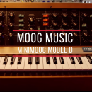 Moog Minimoog Model D Celldweller Demo