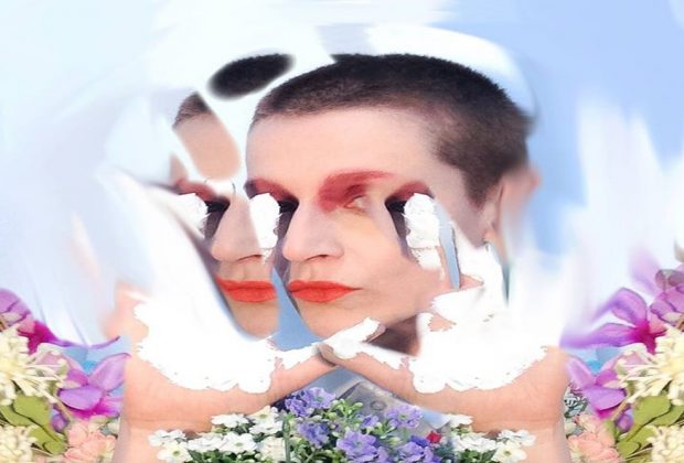 El Perro Del Mar "Kokoro" music album review