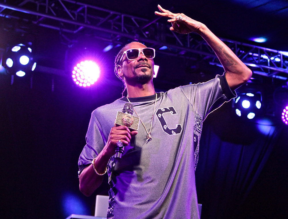 Labor Day Music Festival, Snoop Dogg - photo by Alex Seyum