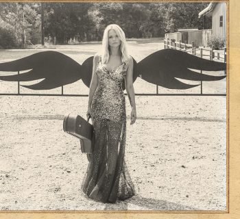 Miranda Lambert - "The Weight of These Wings" music album review