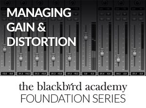 Blackbird Foundation - "Managing Gain & Distortion"