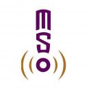 MSO PR Logo