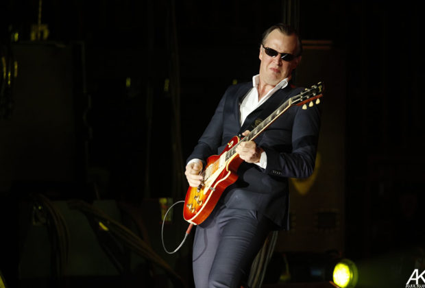 bonamassa