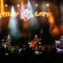 The Stray Cats