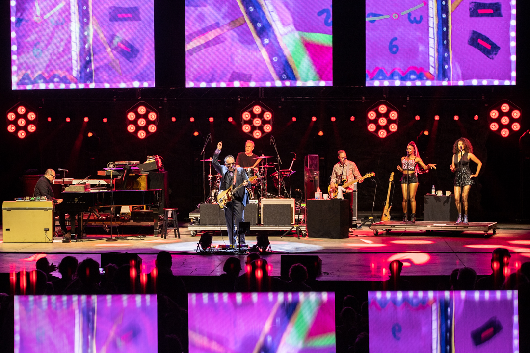 Elvis Costello and Blondie