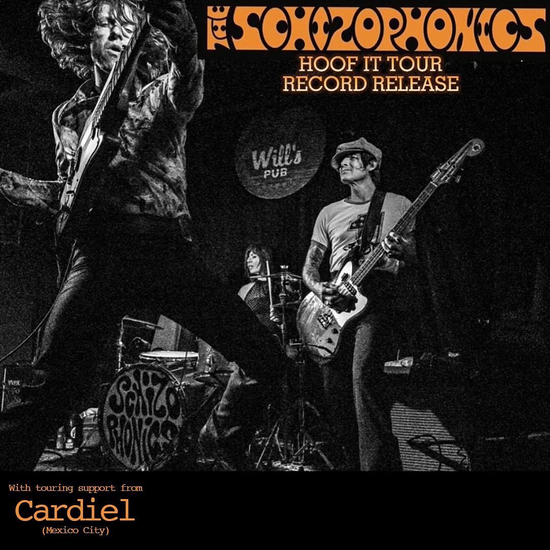 album archive album archive